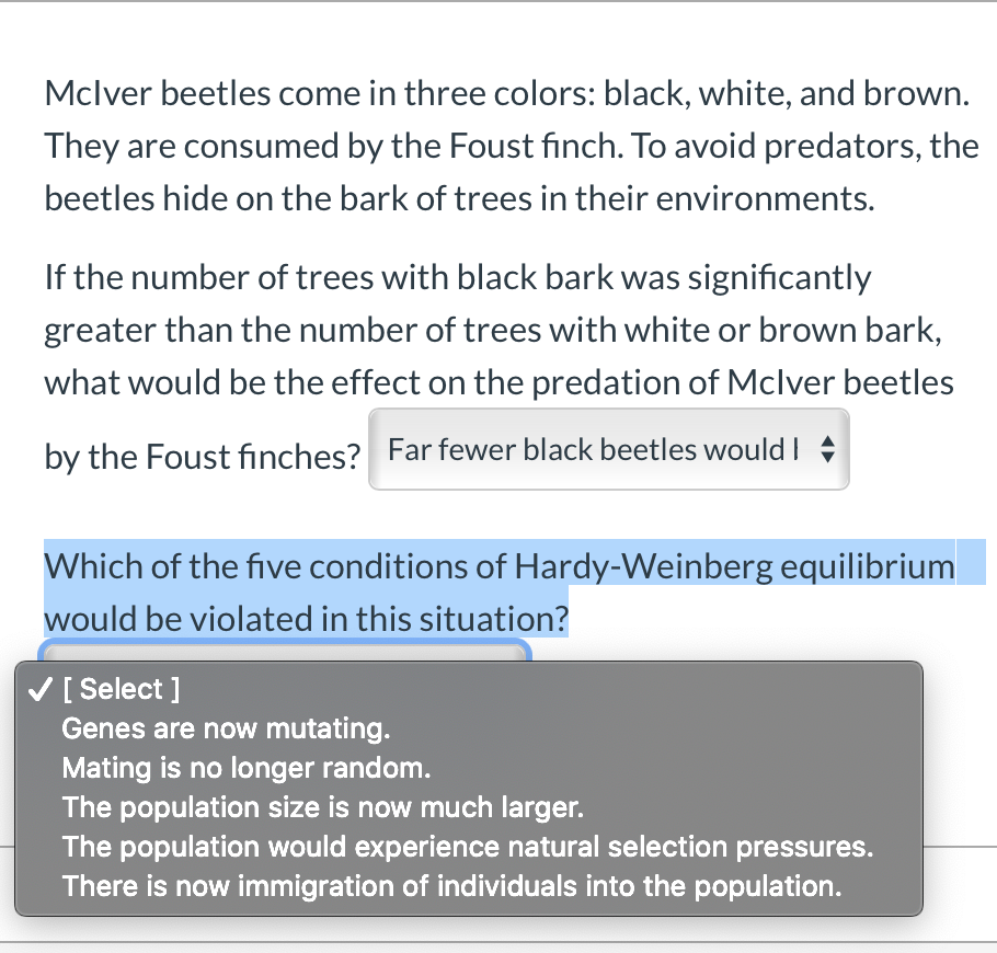 Mclver beetles come in three colors: black, white, and brown.
They are consumed by the Foust finch. To avoid predators, the
beetles hide on the bark of trees in their environments.
If the number of trees with black bark was significantly
greater than the number of trees with white or brown bark,
what would be the effect on the predation of Mclver beetles
by the Foust finches? Far fewer black beetles would I +
Which of the five conditions of Hardy-Weinberg equilibrium
would be violated in this situation?
V [ Select ]
Genes are now mutating.
Mating is no longer random.
The population size is now much larger.
The population would experience natural selection pressures.
There is now immigration of individuals into the population.
