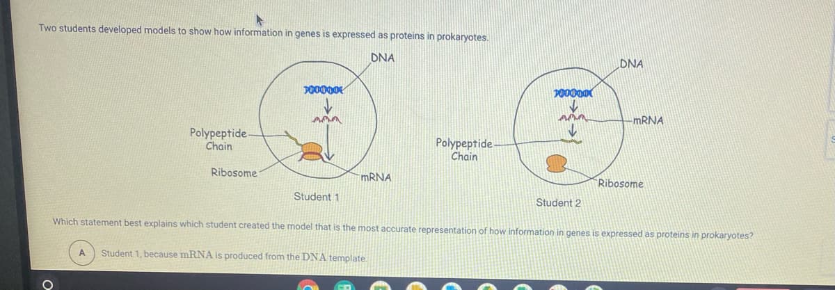 Two students developed models to show how information in genes is expressed as proteins in prokaryotes.
DNA
DNA
P00000
MRNA
Polypeptide-
Chain
Polypeptide
Chain
Ribosome
MRNA
Ribosome
Student 1
Student 2
Which statement best explains which student created the model that is the most accurate representation of how information in genes is expressed as proteins in prokaryotes?
Student 1, because mRNA is produced from the DNA template.
