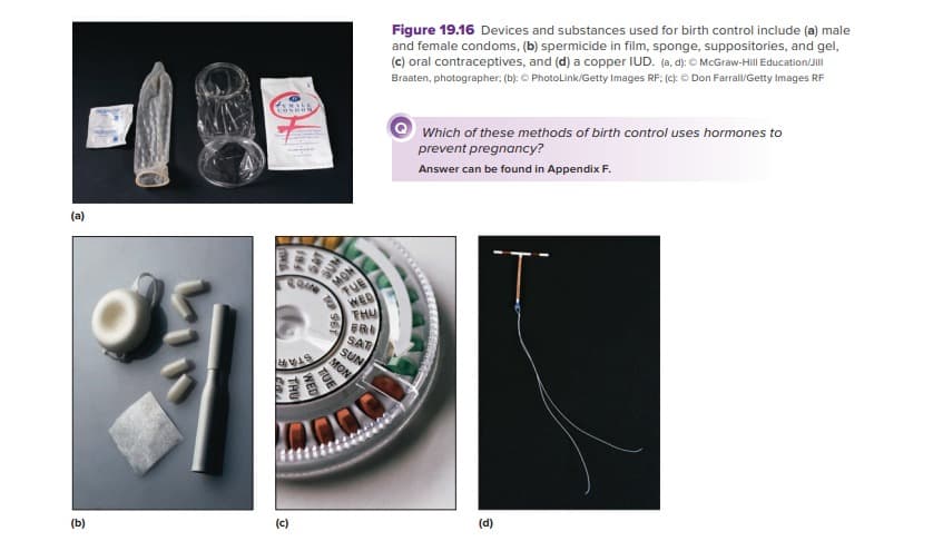 (a)
(b)
S
(c)
1960
WED
TUE
THU
FRI
SAT
SUN
MON
Figure 19.16 Devices and substances used for birth control include (a) male
and female condoms, (b) spermicide in film, sponge, suppositories, and gel,
(c) oral contraceptives, and (d) a copper IUD. (a. d): McGraw-Hill Education/Jill
Braaten, photographer: (b): ⒸPhotoLink/Getty Images RF: (c): Ⓒ Don Farrall/Getty Images RF
Which of these methods of birth control uses hormones to
prevent pregnancy?
Answer can be found in Appendix F.
(d)