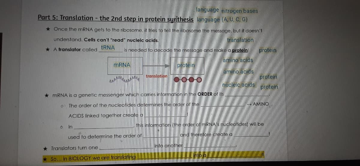 language nitrogen bases
Part 5: Translation - the 2nd step in protein sunthesis language (A. U, C, G)
* Once the MRNA gets to the ribosome, it tries to tell the ribosome the message, but it doesn't
understand. Cells can't "read" nucleic acids.
translation
* A translator called tRNA
is needed fo decode the message and make a protein!
protein
amino acids
MRNA
protein
amino acids
translation
protein
nucleic acids
protein
* MRNA is a genetic messenger which carries information in the ORDER of its
AMINO
The order of the nucleotides determines the order of the
ACIDS linked together create a
O In
this information (the order of MRNA's nucleotides) will be
and therefore create a
used to determine the order of
into another
* Translators turn one
into a
* So... in BIOLOGY we are translating
