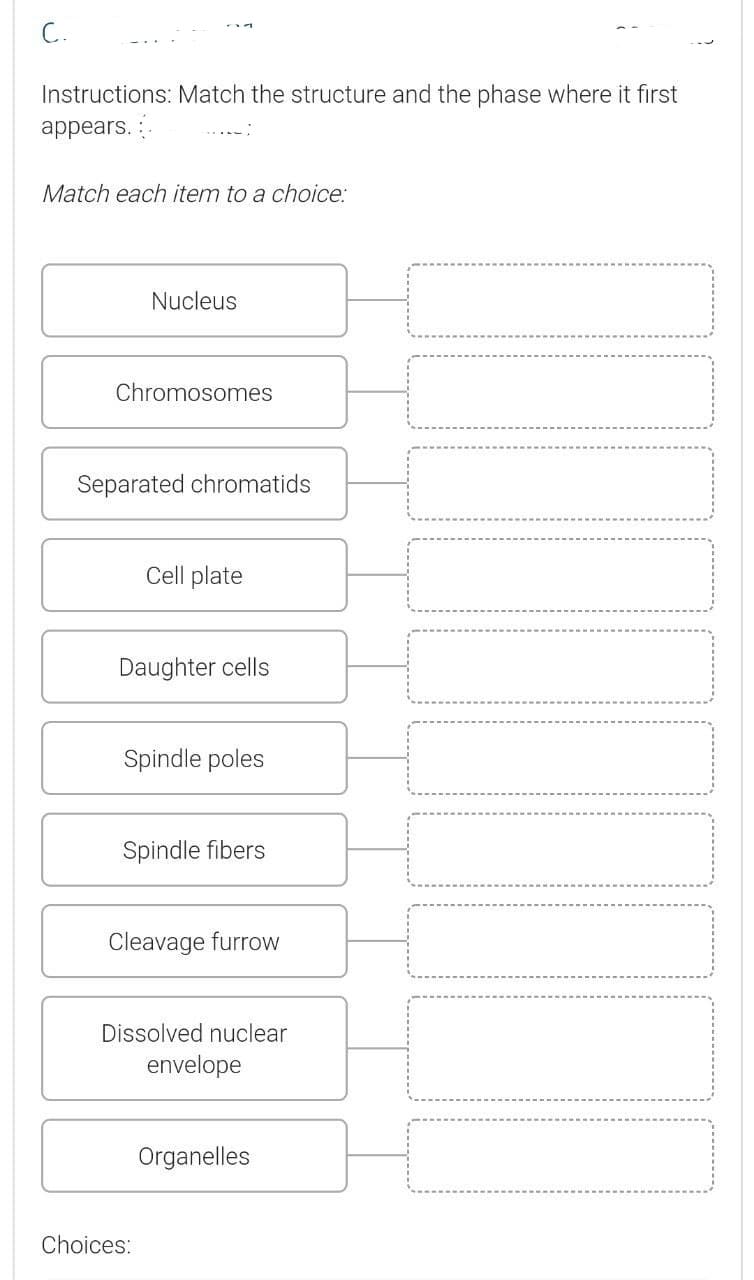 C.
Instructions: Match the structure and the phase where it first
appears. :
Match each item to a choice:
Nucleus
Chromosomes
Separated chromatids
Cell plate
Daughter cells
Spindle poles
Spindle fibers
Cleavage furrow
Dissolved nuclear
envelope
Organelles
Choices:
