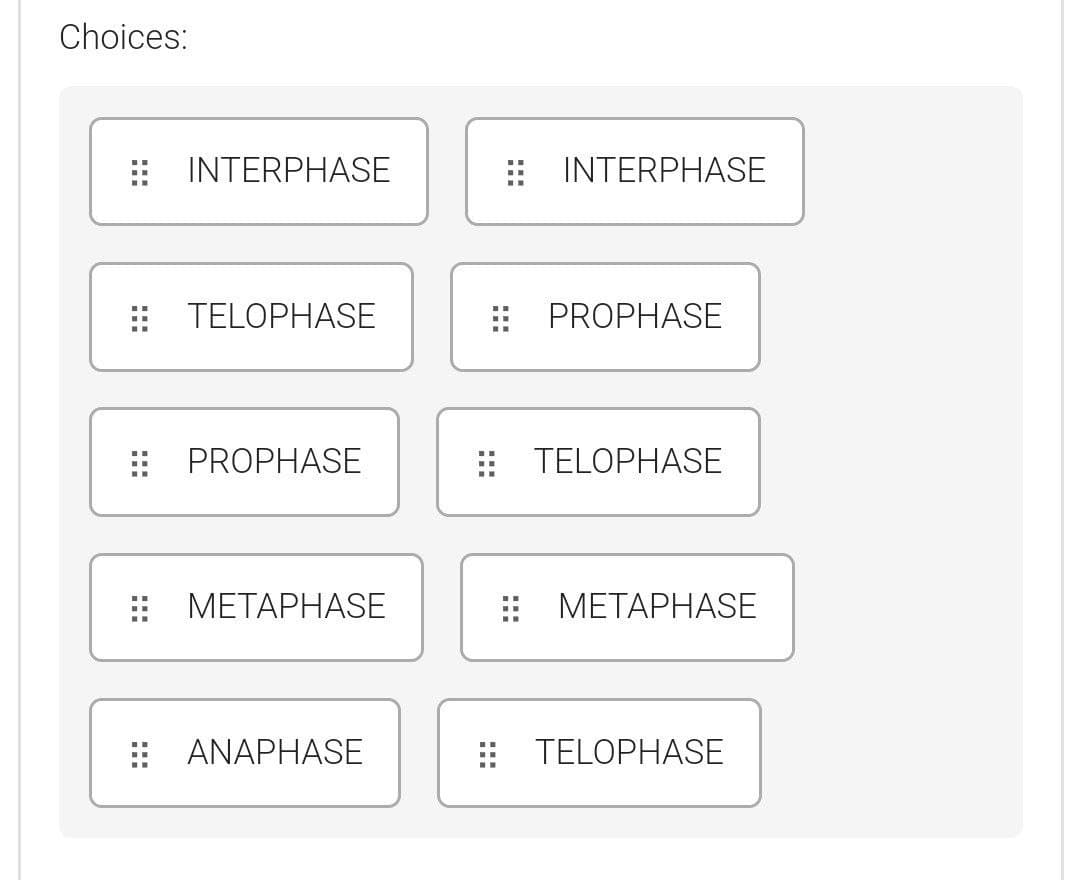 Choices:
: INTERPHASE
INTERPHASE
: TELOPHASE
: PROPHASE
: PROPHASE
: TELOPHASE
: METAPHASE
: METAPHASE
: ANAPHASE
: TELOPHASE
