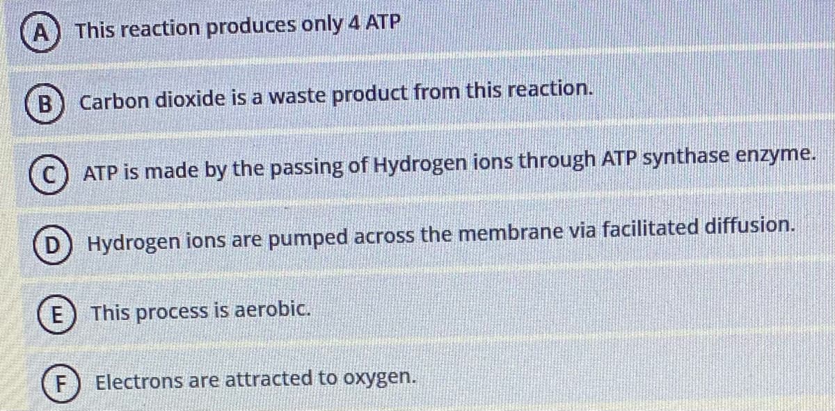A) This reaction produces only 4 ATP
B
Carbon dioxide is a waste product from this reaction.
ATP is made by the passing of Hydrogen ions through ATP synthase enzyme.
D) Hydrogen ions are pumped across the membrane via facilitated diffusion.
E) This process is aerobic.
F) Electrons are attracted to oxygen.
