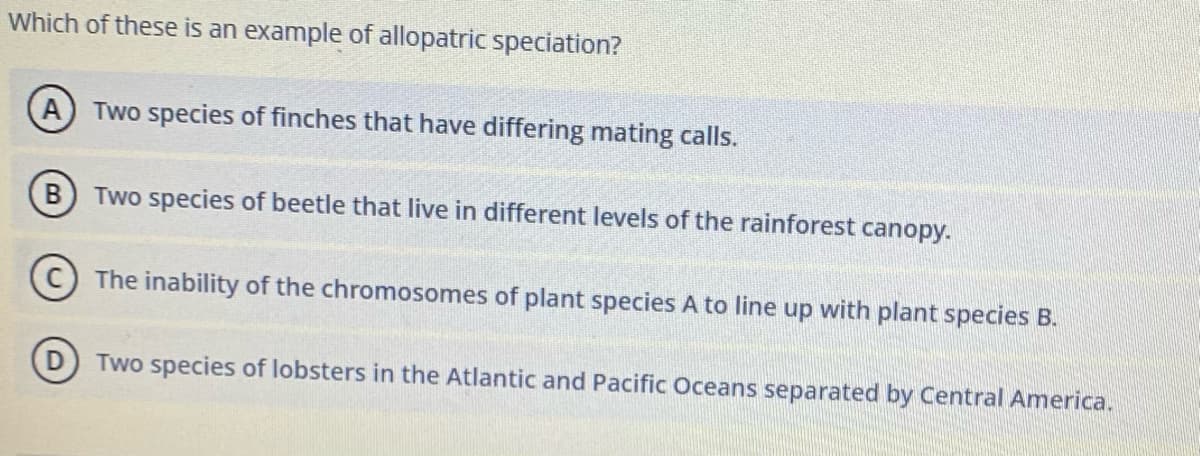 Which of these is an example of allopatric speciation?
Two species of finches that have differing mating calls.
B Two species of beetle that live in different levels of the rainforest canopy.
The inability of the chromosomes of plant species A to line up with plant species B.
D) Two species of lobsters in the Atlantic and Pacific Oceans separated by Central America.
