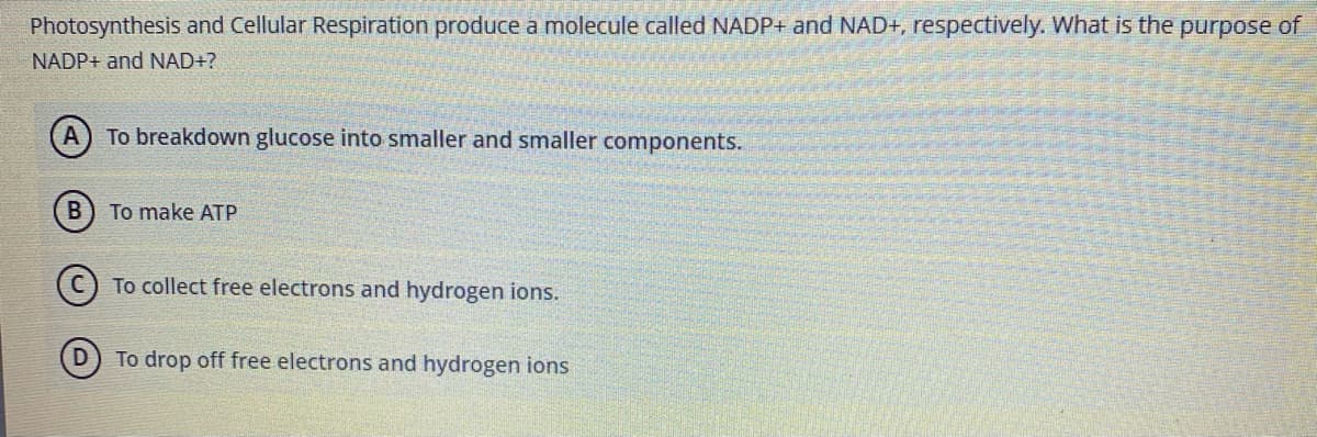 Photosynthesis and Cellular Respiration produce a molecule called NADP+ and NAD+, respectively. What is the purpose of
NADP+ and NAD+?
To breakdown glucose into smaller and smaller components.
To make ATP
(C) To collect free electrons and hydrogen ions.
D) To drop off free electrons and hydrogen ions
