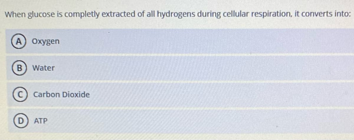 When glucose is completly extracted of all hydrogens during cellular respiration, it converts into:
A Oxygen
Water
Carbon Dioxide
D) ATP
