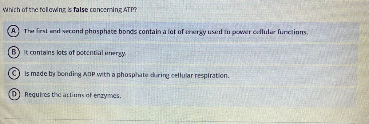 Which of the following is false concerning ATP?
A
The first and second phosphate bonds contain a lot of energy used to power cellular functions.
It contains lots of potential energy.
Is made by bonding ADP with a phosphate during cellular respiration.
D) Requires the actions of enzymes.
