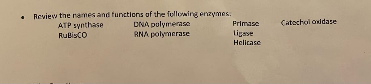 Review the names and functions of the following enzymes:
Catechol oxidase
DNA polymerase
RNA polymerase
ATP synthase
Primase
RuBisCO
Ligase
Helicase
