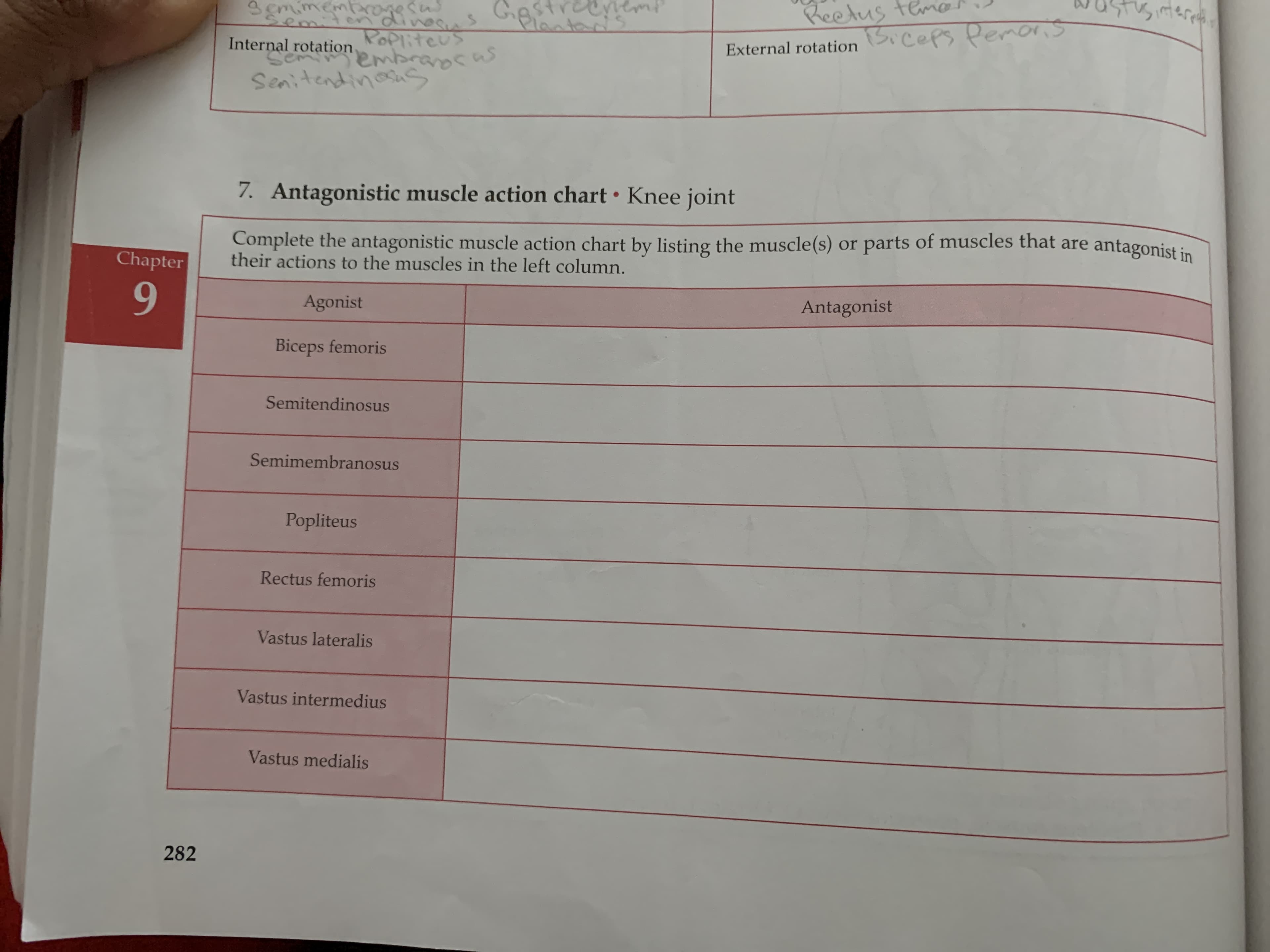 reetus tem
Scefs PenoS
smimembrogesns
श
en
PoPliteus
emprasas
Internal rotation
External rotation
Senidendinasn
7. Antagonistic muscle action chart Knee joint
Complete the antagonistic muscle action chart by listing the muscle (s) or parts of muscles that are
their actions to the muscles in the left column.
antagonist in
Chapter
Agonist
Antagonist
Biceps femoris
Semitendinosus
Semimembranosus
Popliteus
Rectus femoris
Vastus lateralis
Vastus intermedius
Vastus medialis
282
