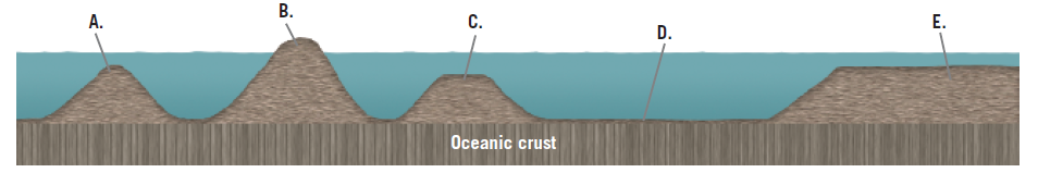 В.
А.
С.
Е.
D.
Oceanic crust
