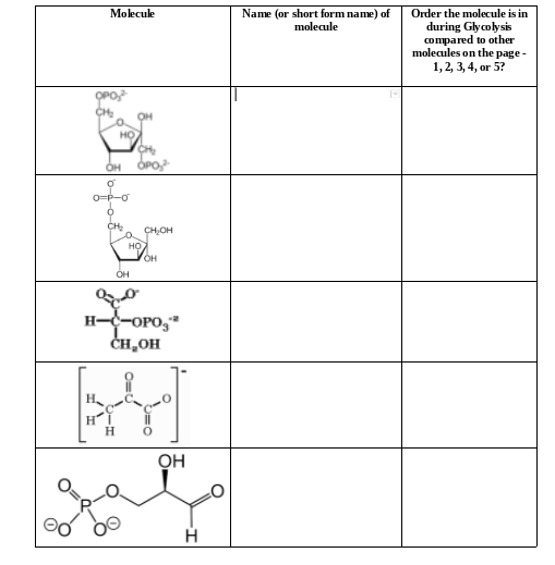 Name (or short form name) of
molecule
Molecule
Order the molecule is in
during Glycolysis
compared to other
molecules on the page -
1,2, 3, 4, or 5?
он
но
OH OPo
CH:
CH,OH
но.
OH
H--OPO,"
ČH,OH
он
