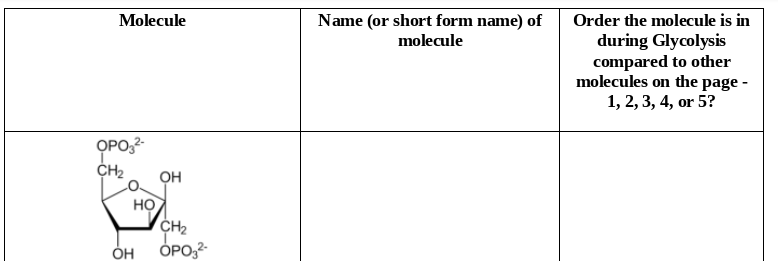 Molecule
Name (or short form name) of
Order the molecule is in
during Glycolysis
compared to other
molecules on the page -
1, 2, 3, 4, or 5?
molecule
OPO,2-
CH2
OH
HỌ
CH2
OPO,2-
ÓH
