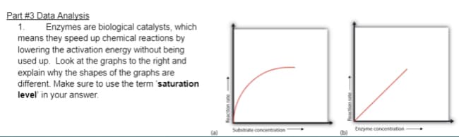 Part #3 Data Analysis
1. Enzymes are biological catalysts, which
means they speed up chemical reactions by
lowering the activation energy without being
used up. Look at the graphs to the right and
explain why the shapes of the graphs are
different. Make sure to use the term 'saturation
level' in your answer.
Enzyme concentration
(b)
Substrate concentration
Reaction rate
