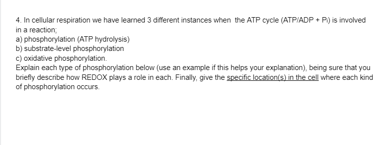 4. In cellular respiration we have learned 3 different instances when the ATP cycle (ATP/ADP + Pi) is involved
in a reaction;
a) phosphorylation (ATP hydrolysis)
b) substrate-level phosphorylation
c) oxidative phosphorylation.
Explain each type of phosphorylation below (use an example if this helps your explanation), being sure that you
briefly describe how REDOX plays a role in each. Finally, give the specific location(s) in the cell where each kind
of phosphorylation occurs.
