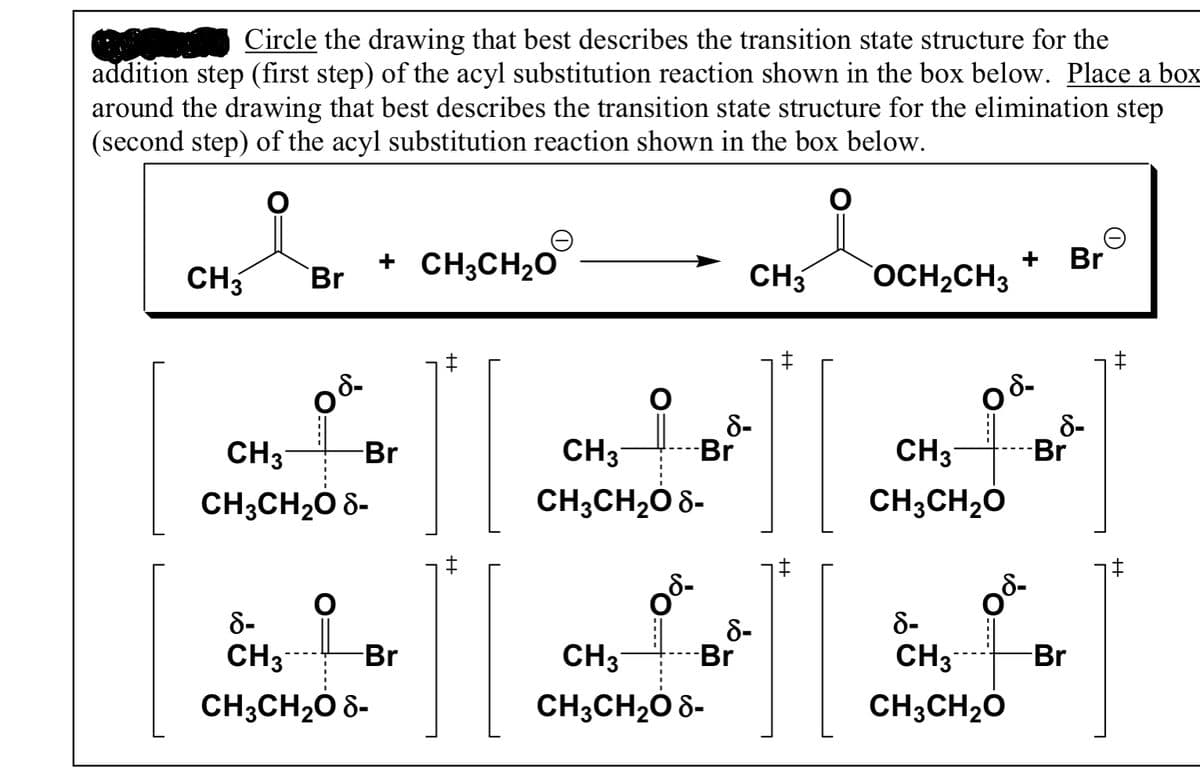Circle the drawing that best describes the transition state structure for the
addition step (first step) of the acyl substitution reaction shown in the box below. Place a box
around the drawing that best describes the transition state structure for the elimination step
(second step) of the acyl substitution reaction shown in the box below.
+ CH;CH2O
Br
+
CH3
Br
CH3
OCH2CH3
8-
-Br
8-
-Br
CH3
CH;CH2Ó 8-
CH3
CH;CH,Ó 8-
CH3
CH;CH20
Br
8-
8-
CH3
8-
Br
CH3
Br
CH3
Br
CH;CH20 8-
CH3CH20 8-
CH3CH20
