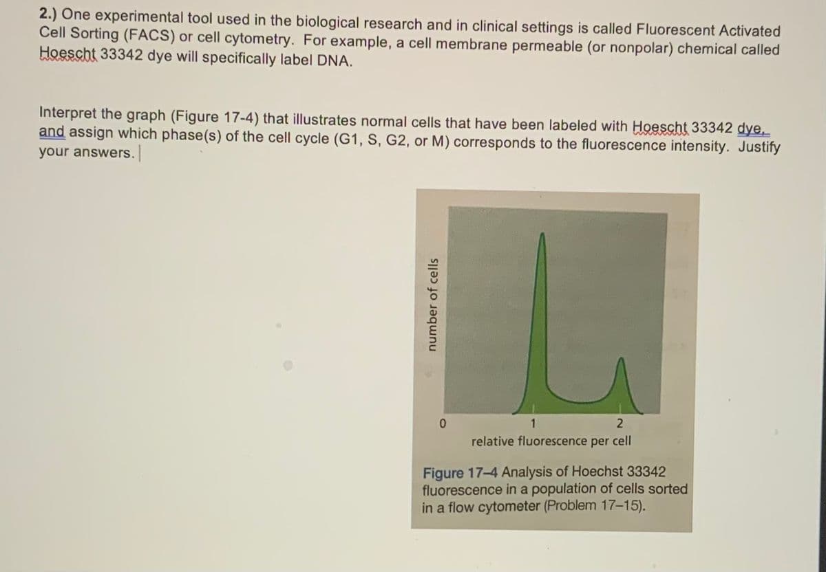 2.) One experimental tool used in the biological research and in clinical settings is called Fluorescent Activated
Cell Sorting (FACS) or cell cytometry. For example, a cell membrane permeable (or nonpolar) chemical called
Hoescht 33342 dye will specifically label DNA.
Interpret the graph (Figure 17-4) that illustrates normal cells that have been labeled with Hoescht 33342 dye,
and assign which phase(s) of the cell cycle (G1, S, G2, or M) corresponds to the fluorescence intensity. Justify
your answers.
1
relative fluorescence per cell
Figure 17-4 Analysis of Hoechst 33342
fluorescence in a population of cells sorted
in a flow cytometer (Problem 17-15).
number of cells
