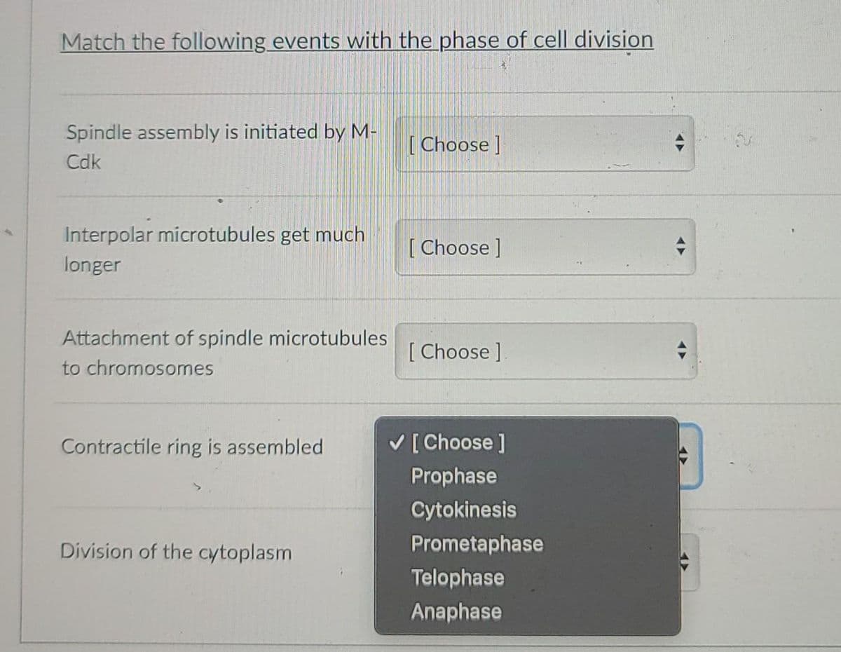 Match the following events with the phase of cell division
Spindle assembly is initiated by M-
[Choose ]
Cdk
Interpolar microtubules get much
[ Choose ]
longer
Attachment of spindle microtubules
[ Choose ]
to chromosomes
Contractile ring is assembled
V [ Choose ]
Prophase
Cytokinesis
Division of the cytoplasm
Prometaphase
Telophase
Anaphase
