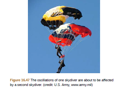 Figure 16.47 The oscillations of one skydiver are about to be affected
by a second skydiver. (credit: U.S. Army, www.army.mil)
