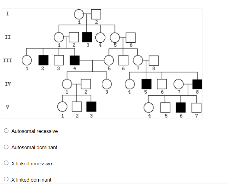 I
II
3
III
1 2
3
4
5
6
8
IV
5
1 2 3
4 5 6 7
O Autosomal recessive
O Autosomal dominant
O X linked recessive
X linked dominant
6.
