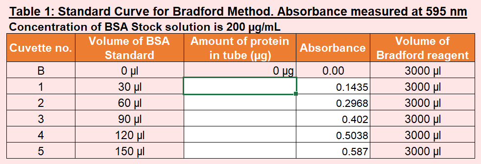 Table 1: Standard Curve for Bradford Method. Absorbance measured at 595 nm
Concentration of BSA Stock solution is 200 ug/mL
Amount of protein
in tube (ug)
O ug
Volume of
Volume of BSA
Absorbance
Bradford reagent
3000 µl
3000 µl
3000 µl
3000 µl
3000 µl
3000 µl
Cuvette no.
Standard
0.00
O ul
30 µl
60 μl
90 μl
120 µl
150 µl
В
0.1435
1
0.2968
2
0.402
3
0.5038
4
0.587
