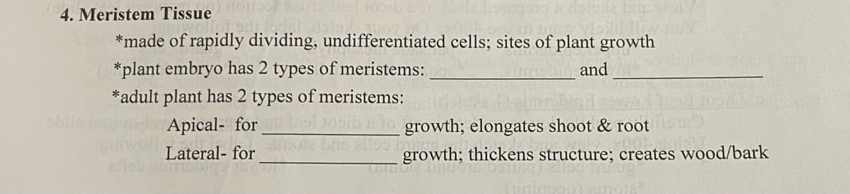 4. Meristem TissueotoGR
*made of rapidly dividing, undifferentiated cells; sites of plant growth
*plant embryo has 2 types of meristems:
and
*adult plant has 2 types of meristems:
obile
1oribnlo growth; elongates shoot & root
bru
Apical- for
Lateral- for
growth; thickens structure; creates wood/bark
elles
