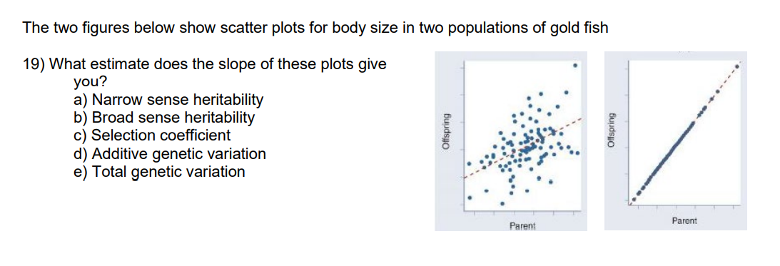 The two figures below show scatter plots for body size in two populations of gold fish
19) What estimate does the slope of these plots give
you?
a) Narrow sense heritability
b) Broad sense heritability
c) Selection coefficient
d) Additive genetic variation
e) Total genetic variation
Paront
Parent
Offspring
Offspring
