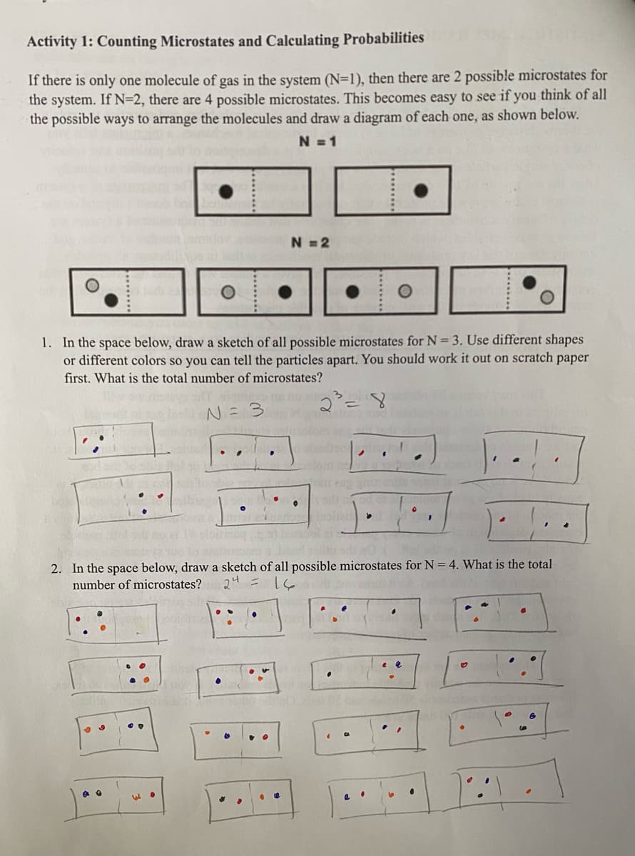 Activity 1: Counting Microstates and Calculating Probabilities
If there is only one molecule of gas in the system (N=1), then there are 2 possible microstates for
the system. If N=2, there are 4 possible microstates. This becomes easy to see if you think of all
the possible ways to arrange the molecules and draw a diagram of each one, as shown below.
N = 1
N = 2
1. In the space below, draw a sketch of all possible microstates for N = 3. Use different shapes
or different colors so you can tell the particles apart. You should work it out on scratch paper
first. What is the total number of microstates?
N= 3
2. In the space below, draw a sketch of all possible microstates for N = 4. What is the total
number of microstates?
24 = 16
..

