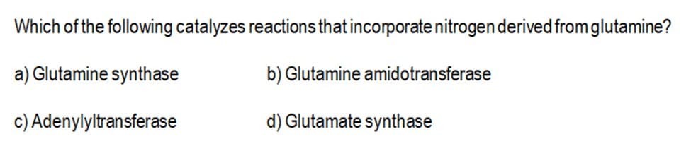 Which of the following catalyzes reactions that incorporate nitrogen derived from glutamine?
a) Glutamine synthase
b) Glutamine amidotransferase
c) Adenylyltransferase
d) Glutamate synthase