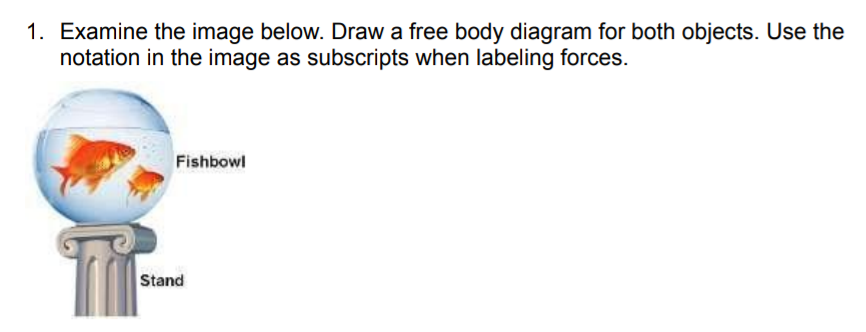 1. Examine the image below. Draw a free body diagram for both objects. Use the
notation in the image as subscripts when labeling forces.
Fishbowl
Stand