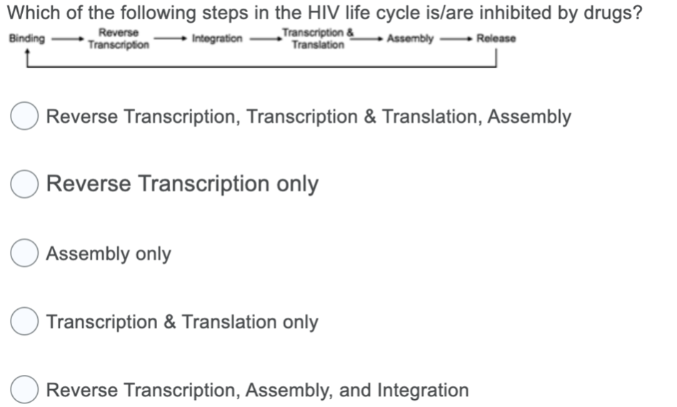 Which of the following steps in the HIV life cycle is/are inhibited by drugs?
Binding
Integration
Transcription &
Translation
Assembly
Reverse
Transcription
Reverse Transcription, Transcription & Translation, Assembly
Reverse Transcription only
Assembly only
O Transcription & Translation only
Release
Reverse Transcription, Assembly, and Integration