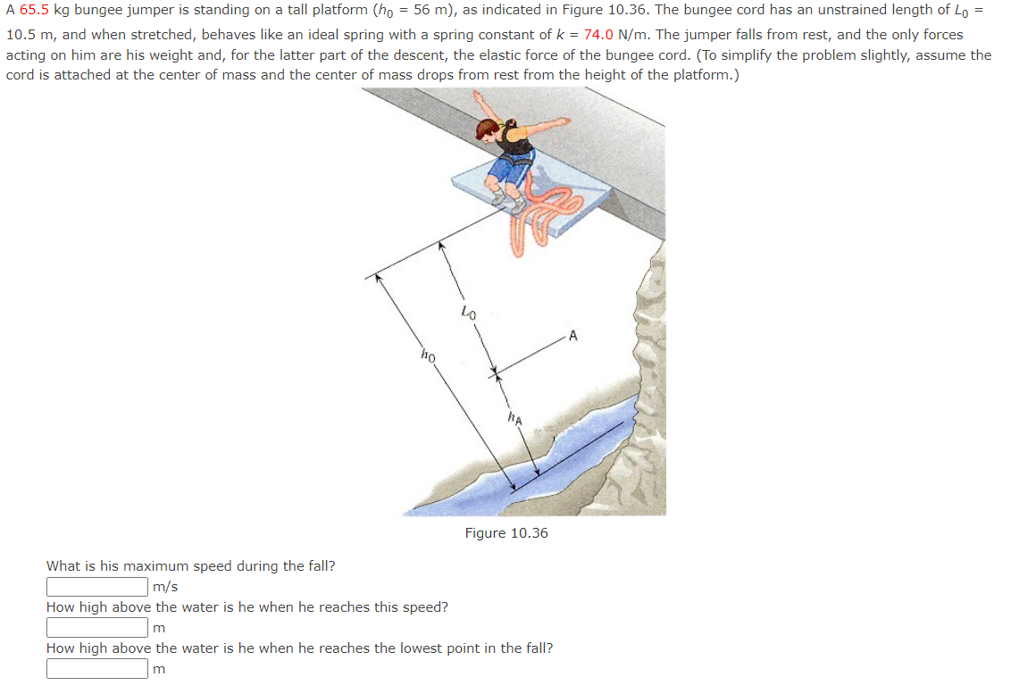 A 65.5 kg bungee jumper is standing on a tall platform (ho = 56 m), as indicated in Figure 10.36. The bungee cord has an unstrained length of Lo =
10.5 m, and when stretched, behaves like an ideal spring with a spring constant of k = 74.0 N/m. The jumper falls from rest, and the only forces
acting on him are his weight and, for the latter part of the descent, the elastic force of the bungee cord. (To simplify the problem slightly, assume the
cord is attached at the center of mass and the center of mass drops from rest from the height of the platform.)
A
ho
Figure 10.36
What is his maximum speed during the fall?
m/s
How high above the water is he when he reaches this speed?
How high above the water is he when he reaches the lowest point in the fall?
