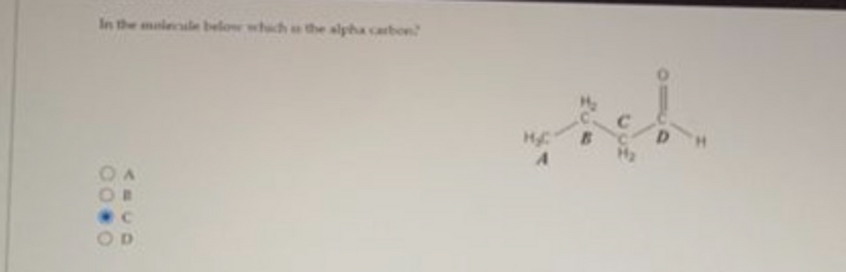 In the molecule below which the alpha carbon
0.00
B
D
