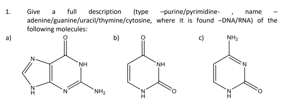 1.
Give
a
full
description
(type
-purine/pyrimidine-
name
adenine/guanine/uracil/thymine/cytosine, where it is found -DNA/RNA) of the
following molecules:
a)
b)
c)
NH2
N
NH
`NH
`NH2
ZI
ZI
ZI
