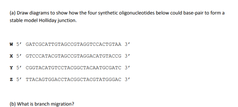(a) Draw diagrams to show how the four synthetic oligonucleotides below could base-pair to form a
stable model Holliday junction.
W 5' GATCGCАТTСТAGCCGTAАGGTCCACTGTAА 3'
х 5' GTCCCАТАCGTAGCCGтAGGACATGTAсCG 3'
Y 5' CGGTAСАTGTCСТАСGGCTАСААТGCGAТС 3'
Z 5' TTACAGTGGACCTACGGCTACGTATGGGAC 3’
(b) What is branch migration?

