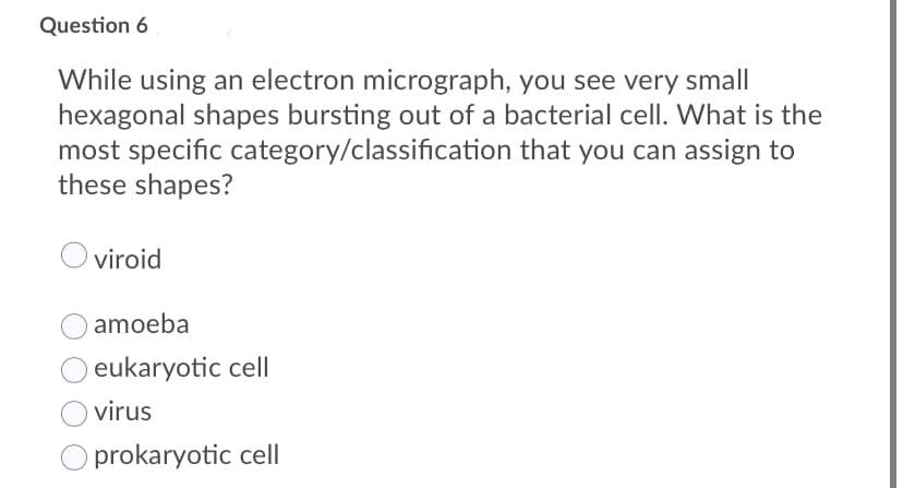 Question 6
While using an electron micrograph, you see very small
hexagonal shapes bursting out of a bacterial cell. What is the
most specific category/classification that you can assign to
these shapes?
viroid
amoeba
eukaryotic cell
virus
prokaryotic cell
