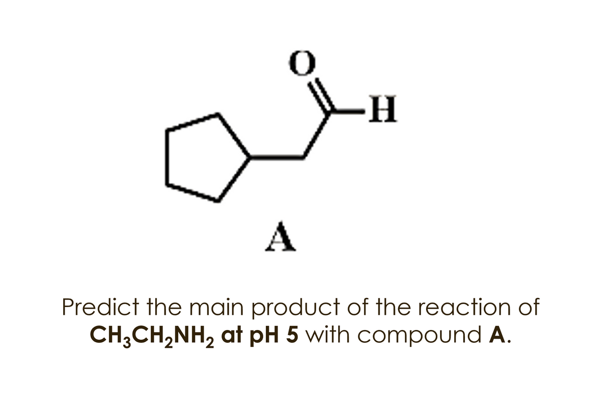 --
A
Predict the main product of the reaction of
CH;CH,NH, at pH 5 with compound A.
