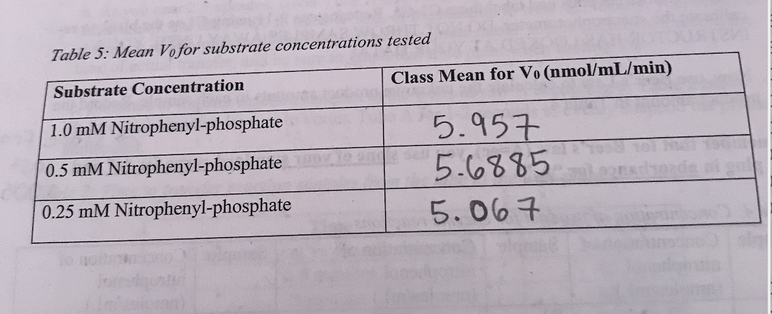 Table 5: Mean Vofor substrate concentrations tested
Class Mean for Vo (nmol/mL/min)
Substrate Concentration
1.0 mM Nitrophenyl-phosphate
5.957
5.6४४5
0.5 mM Nitrophenyl-phosphate
L
2
0.25 mM Nitrophenyl-phosphate
5.007
