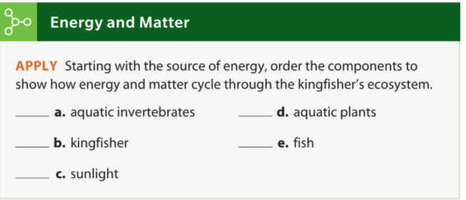 po Energy and Matter
APPLY Starting with the source of energy, order the components to
show how energy and matter cycle through the kingfisher's ecosystem.
a. aquatic invertebrates
d. aquatic plants
b. kingfisher
e. fish
c. sunlight
