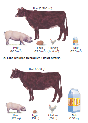 Beef (245.0 m)
Pork
Chicken
Milk
(23.5 m)
Eggs
(90.0 m)
(22.0 m) (14.0 m)
(a) Land required to produce 1 kg of protein
Beef (750 kg)
Milk
(250 kg)
Pork
Eggs
(15 kg)
Chicken
(50 kg)
(175 kg)

