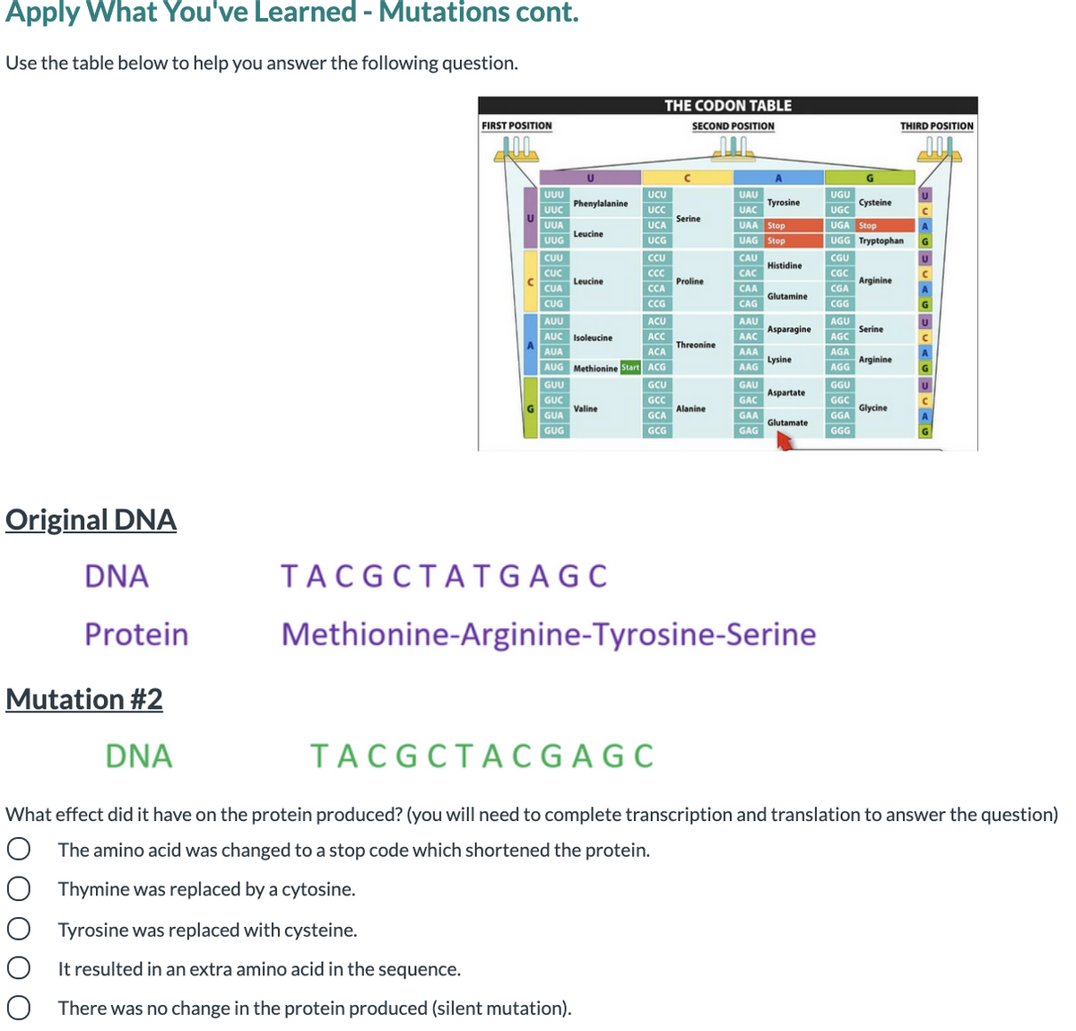 Apply What You've Learned - Mutations cont.
Use the table below to help you answer the following question.
THE CODON TABLE
FIRST POSITION
SECOND POSITION
THIRD POSITION
UU
UCU
UAU
UGU
Phenylalanine
UUC
Cysteine
Tyrosine
UC
UAC
UGC
Serine
UA
UCA
UAA Stop
UGA Stop
Leucine
UG
UCG
UAG Stop
UGG Tryptophan
CUU
CCU
CAU
CGU
Histidine
CÚC
CC
CÁC
CGC
Leucine
Proline
Arginine
CỦA
CCA
CAA
CGA
Glutamine
CUG
CG
CAG
CGG
AUU
AUC Isoleucine
ACU
AAU
AGU
Asparagine
Serine
ACC
AAC
AGC
Threonine
AUA
ACA
AAA
AGA
Lysine
Arginine
AUG Methionine Start ACG
AAG
AGG
GUU
GCU
GAU
GGU
Aspartate
GÚC
GCC
GAC
GGC
Valine
Alanine
Glycine
GUA
GCA
GAA
GGA
Glutamate
GUG
GCG
GAG
GGG
Original DNA
DNA
TACGCTAT GAGC
Protein
Methionine-Arginine-Tyrosine-Serine
Mutation #2
DNA
TACGCTAC GA G C
What effect did it have on the protein produced? (you will need to complete transcription and translation to answer the question)
O The amino acid was changed to a stop code which shortened the protein.
Thymine was replaced by a cytosine.
O Tyrosine was replaced with cysteine.
It resulted in an extra amino acid in the sequence.
There was no change in the protein produced (silent mutation).
