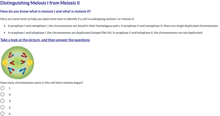 Distinguishing Meiosis I from Meiosis II
How do you know what is meiosis I and what is meiosis II?
Here are some hints to help you determine how to identify if a cell is undergoing meiosis I or meiosis I.
• In prophase l and metaphase I, the chromosomes are found in their homologous pairs. In prophase Il and metaphase II, there are single duplicated chromosomes.
• In anaphase l and telophase I, the chromosomes are duplicated (shaped like Xs). In anaphase ll and telophase II, the chromosomes are not duplicated.
Take a look at the picture, and then answer the questions
How many chromosomes were in this cell when meiosis began?
О 1
O 4
О з
O 2
6
