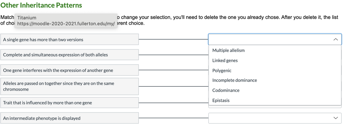 Other Inheritance Patterns
Match Titanium
o change your selection, you'll need to delete the one you already chose. After you delete it, the list
of choi https://moodle-2020-2021.fullerton.edu/my/ erent choice.
A single gene has more than two versions
Multiple allelism
Complete and simultaneous expression of both alleles
Linked genes
One gene interferes with the expression of another gene
Polygenic
Incomplete dominance
Alleles are passed on together since they are on the same
chromosome
Codominance
Trait that is influenced by more than one gene
Epistasis
An intermediate phenotype is displayed
