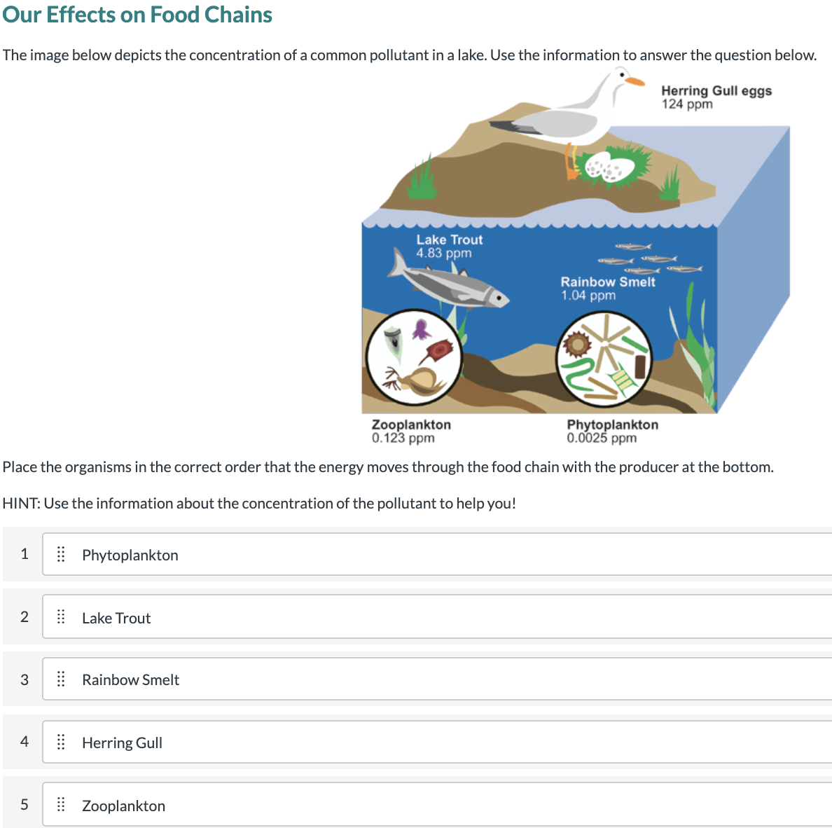 Our Effects on Food Chains
The image below depicts the concentration of a common pollutant in a lake. Use the information to answer the question below.
Herring Gull eggs
124 ppm
Lake Trout
4.83 ppm
Rainbow Smelt
1.04 ppm
Zooplankton
0.123 ppm
Phytoplankton
0.0025 ppm
Place the organisms in the correct order that the energy moves through the food chain with the producer at the bottom.
HINT: Use the information about the concentration of the pollutant to help you!
1
| Phytoplankton
2
| Lake Trout
3
: Rainbow Smelt
4
| Herring Gull
5
| Zooplankton
