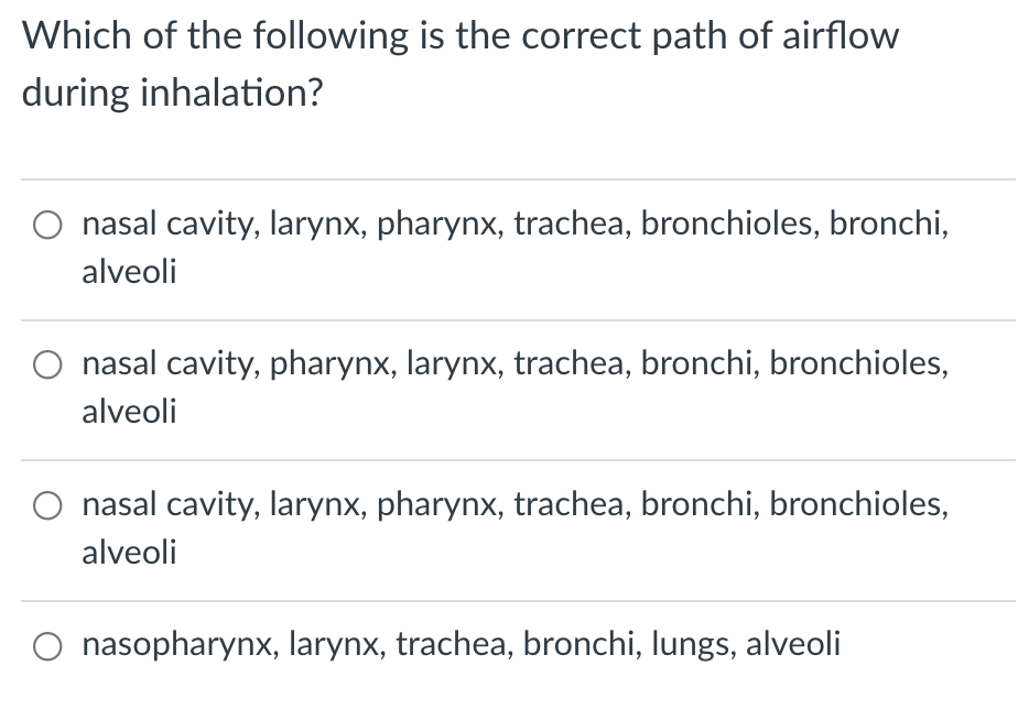 Which of the following is the correct path of airflow
during inhalation?
O nasal cavity, larynx, pharynx, trachea, bronchioles, bronchi,
alveoli
nasal cavity, pharynx, larynx, trachea, bronchi, bronchioles,
alveoli
O nasal cavity, larynx, pharynx, trachea, bronchi, bronchioles,
alveoli
O nasopharynx, larynx, trachea, bronchi, lungs, alveoli
