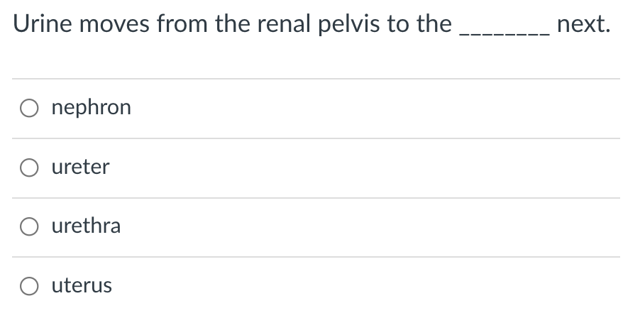 Urine moves from the renal pelvis to the
next.
O nephron
O ureter
O urethra
O uterus
