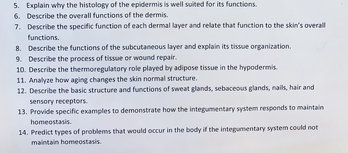 5. Explain why the histology of the epidermis is well suited for its functions.
6. Describe the overall functions of the dermis.
Describe the specific function of each dermal layer and relate that function to the skin's overall
7.
functions.
Describe the functions of the subcutaneous layer and explain its tissue organization.
8.
Describe the process of tissue or wound repair.
9.
10. Describe the thermoregulatory role played by adipose tissue in the hypodermis
11. Analyze how aging changes the skin normal structure.
12. Describe the basic structure and functions of sweat glands, sebaceous glands, nails, hair and
sensory receptors
13. Provide specific examples to demonstrate how the integumentary system responds to maintain
homeostasis.
14. Predict types of problems that would occur in the body if the integumentary system could not
maintain homeostasis.
