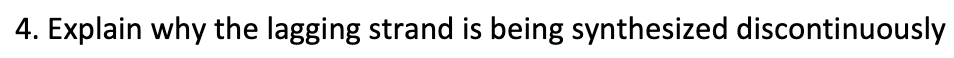 4. Explain why the lagging strand is being synthesized discontinuously