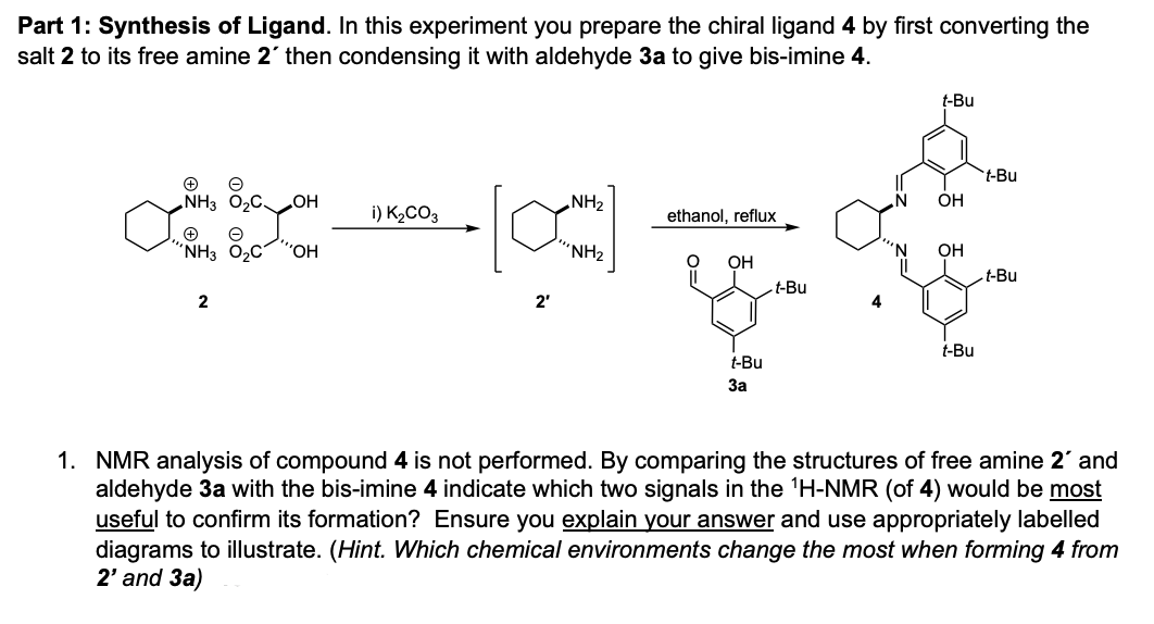 Part 1: Synthesis of Ligand. In this experiment you prepare the chiral ligand 4 by first converting the
salt 2 to its free amine 2' then condensing it with aldehyde 3a to give bis-imine 4.
t-Bu
t-Bu
„NH3 O2C
HO
NH2
OH
i) K2CO3
ethanol, reflux
"NH3 O2C
".,
“NH2
OH
OH
t-Bu
t-Bu
2
2'
t-Bu
t-Bu
За
1. NMR analysis of compound 4 is not performed. By comparing the structures of free amine 2' and
aldehyde 3a with the bis-imine 4 indicate which two signals in the 'H-NMR (of 4) would be most
useful to confirm its formation? Ensure you explain your answer and use appropriately labelled
diagrams to illustrate. (Hint. Which chemical environments change the most when forming 4 from
2' and 3a)
