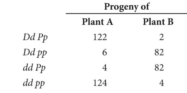 Progeny of
Plant A
Plant B
Dd Pp
122
2
Dd pp
6.
82
82
dd Pp
dd pp
124
4.
