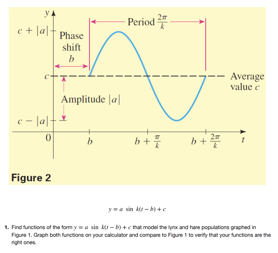 Period
k
c + |a|+
Phase
shift
b
Average
value c
Amplitude |a|
c - |a|-
=
b+ 27
t
b +
k
k
Figure 2
y = a sin k(t – b) + c
1. Find functions of the form y = a sin k(t – b) + c that model the lynx and hare populations graphed in
Figure 1. Graph both functions on your calculator and compare to Figure 1 to verify that your functions are the
right ones.
